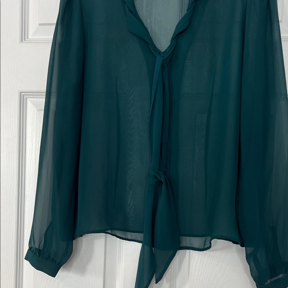 Peter Nygard Deep Teal sheer Blouse - Picture 3 of 5